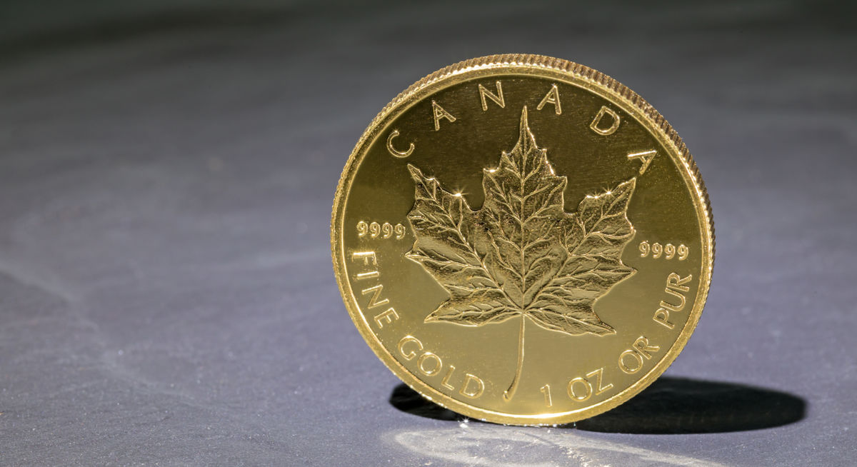 Die goldene Anlagemünze Maple Leaf von der Motivseite gesehen, wo ein Ahornblatt unter dem Schriftzug Cnaada abgebildet ist